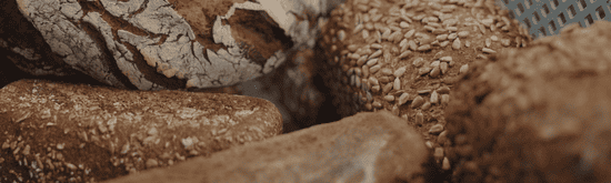 KI generiert: Das Bild zeigt einen frischen Bund Grünkohl mit dunkelgrünen, krausen Blättern auf weißem Hintergrund. Grünkohl ist ein nährstoffreiches Blattgemüse.