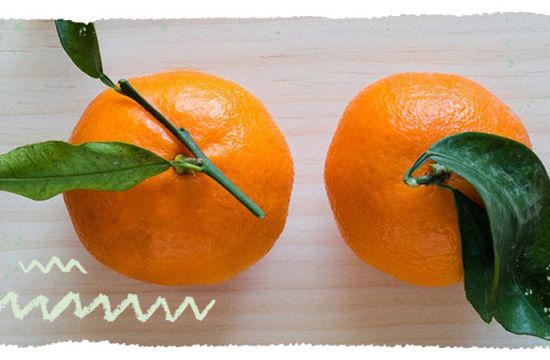 Teaser Warenkunde Mandarine Clementine