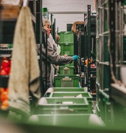 Hallenführung beim Bioboten