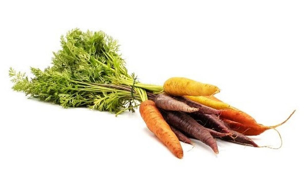 Produktfoto zu Bunte Bundmöhren, 700g+