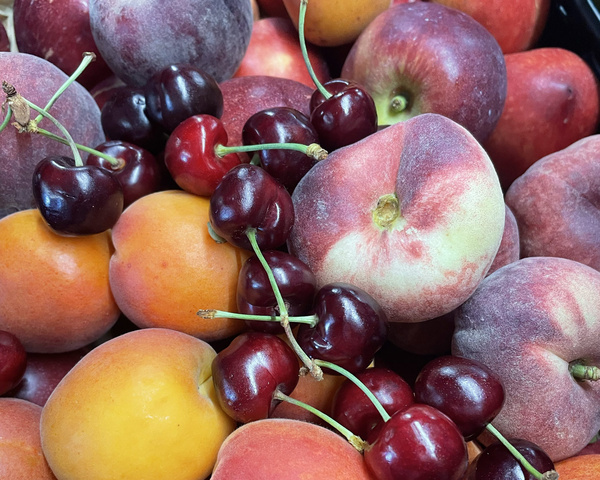 Nori Algen in schale