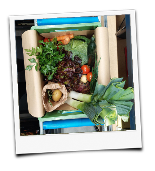 KI generiert: Eine Kiste mit frischem Gemüse, u.a. Salat, Karotten und Lauch.