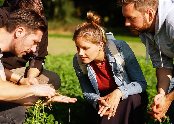 KI generiert: Eine Gruppe von Menschen betrachtet neugierig eine Pflanze auf einem Feld.
