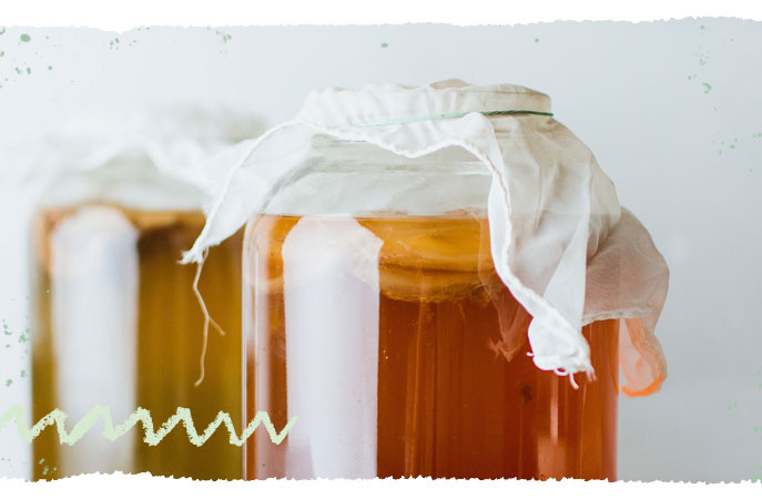 Kombucha in Gläsern