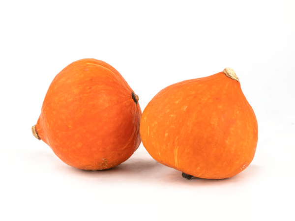 Produktfoto zu Hokkaido-Kürbis, groß, ca. 1,2 - 1,6kg