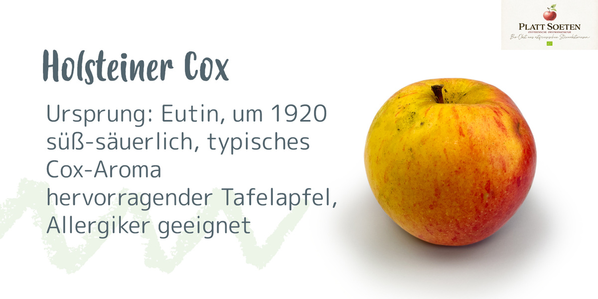 in Apfel "Holsteiner Cox" mit Beschriftung über Ursprung, Geschmack und Eignung für Allergiker.