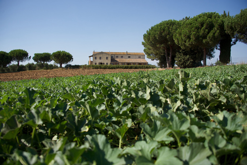 LaSelva_BioLandgut_MaremmainderToskana
