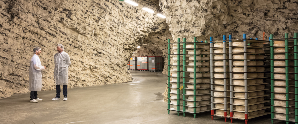 Header Thise Höhlenreifung