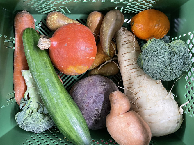 grüne Kiste mit unperfektem Gemüse