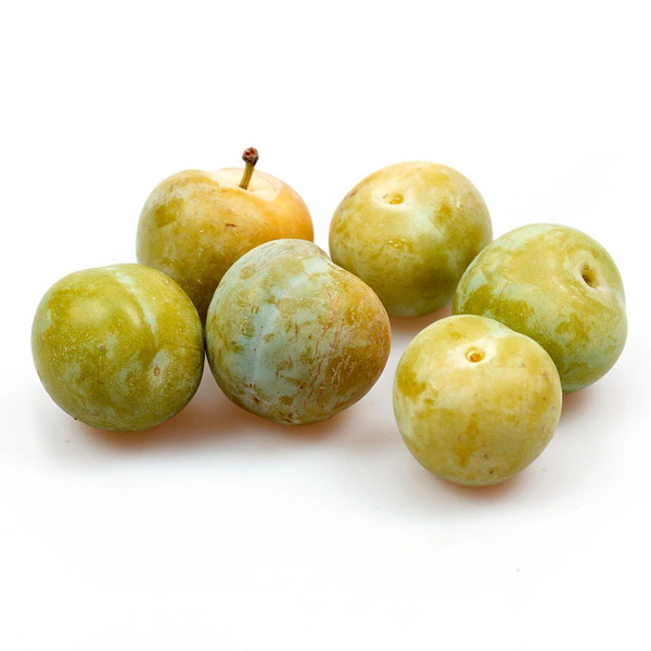 Produktfoto zu Reneclauden