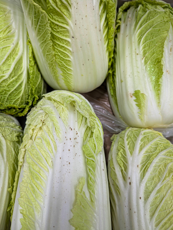 Mehrere Köpfe Chinakohl, dicht nebeneinander gestapelt. Alle haben Spots und dunkle Flecken 