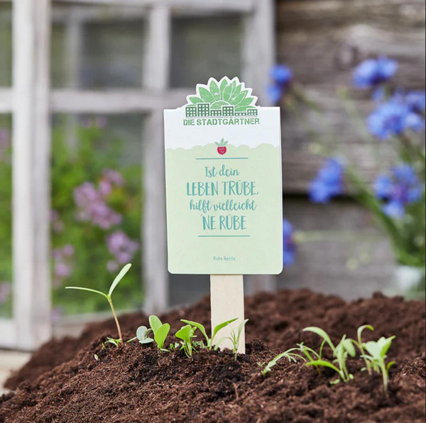 Produktfoto zu Saatgrüße - Ist das Leben trübe, hilft vielleicht 'ne Rübe