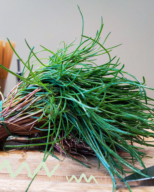 ein Bund Mönchsbart,