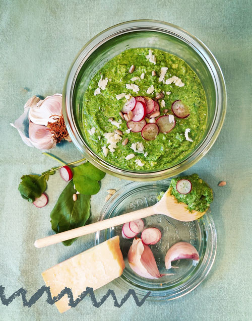 Pesto aus Radieschengrün