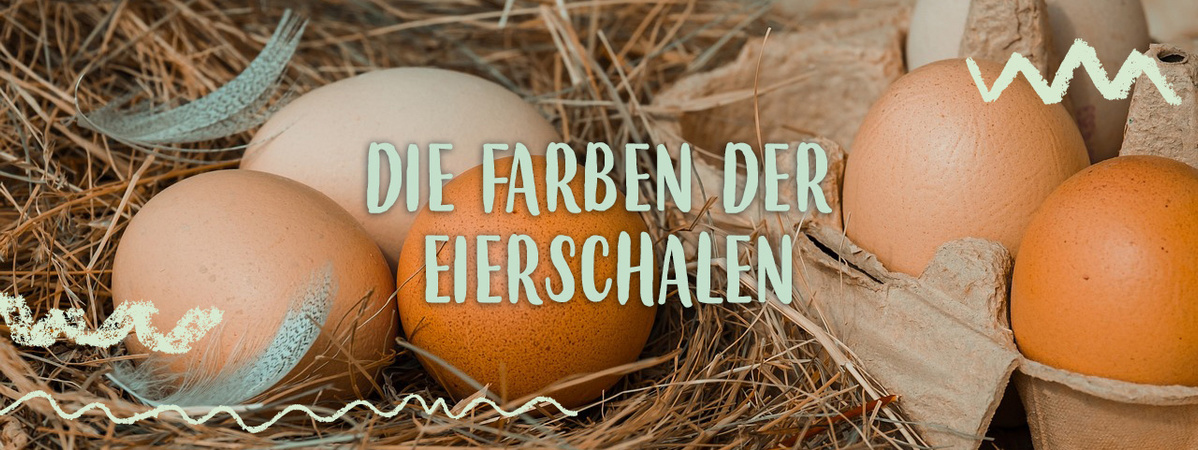 Header Eierschalenfarben