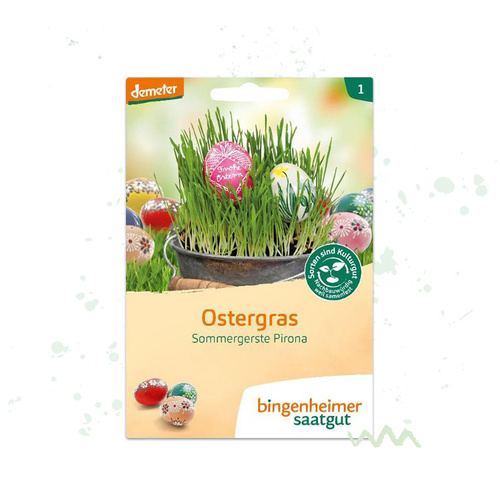 Ostergras