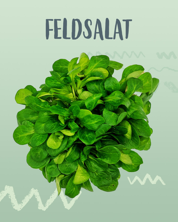 Das Bild zeigt einen frischen Bund Feldsalat vor einem hellgrünen Hintergrund. Der Text "Feldsalat" ist über dem Salat zu sehen.