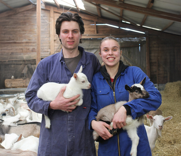 KI generiert: Zwei Personen in einem Stall, die jeweils ein Zicklein in den Armen halten.