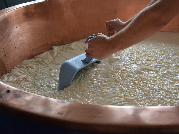 KI generiert: Person rührt in einer großen Käsemasse mit einem blauen Werkzeug in einem Kupferbehälter.