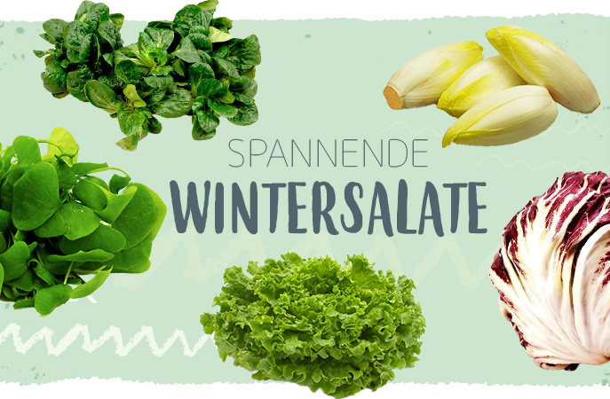 Auswahl an winterlichen Salaten