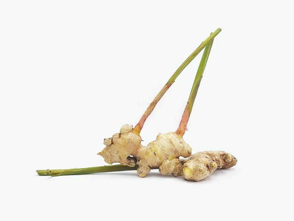 Produktfoto zu Ingwer frisch, Stück ca. 100g