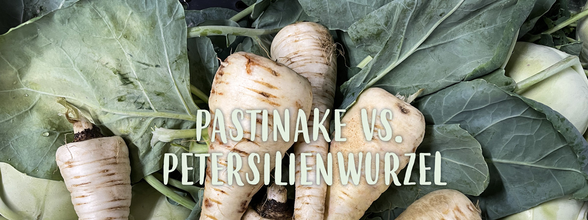 KI generiert: Wurzelgemüse auf Blättern mit dem Text: "PASTINAKE VS. PETERSILIENWURZEL".