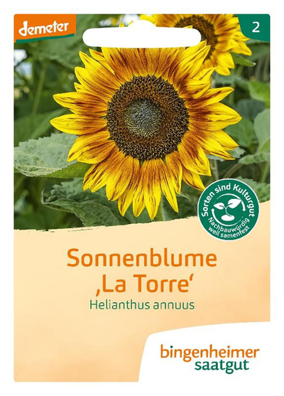 Produktfoto zu Bingenheimer Saatgut - Sonnenblumen
