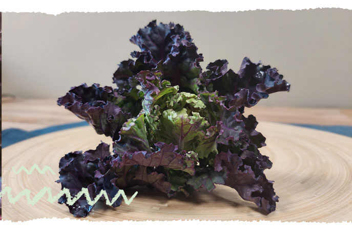 Flower Sprout Knsope