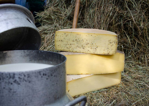 teaser Tour de Kaas - Etappe 3