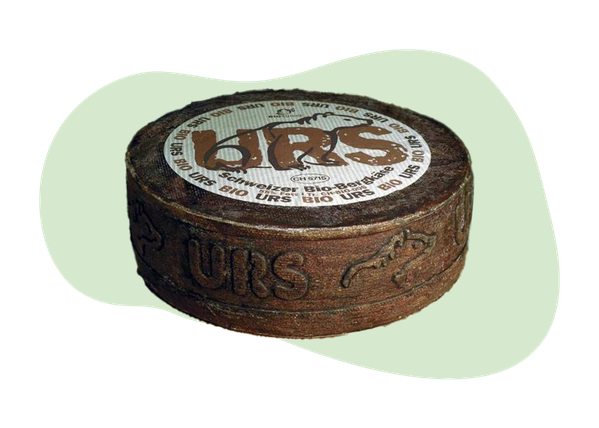 Urs Splügener Bergkäse