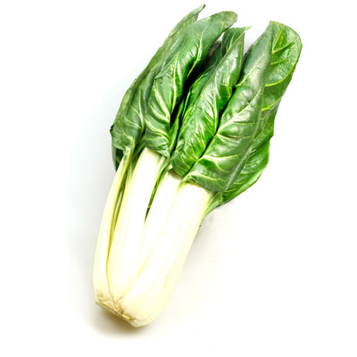 Produktfoto zu Mangold als Staude, ca. 700g pro Stück