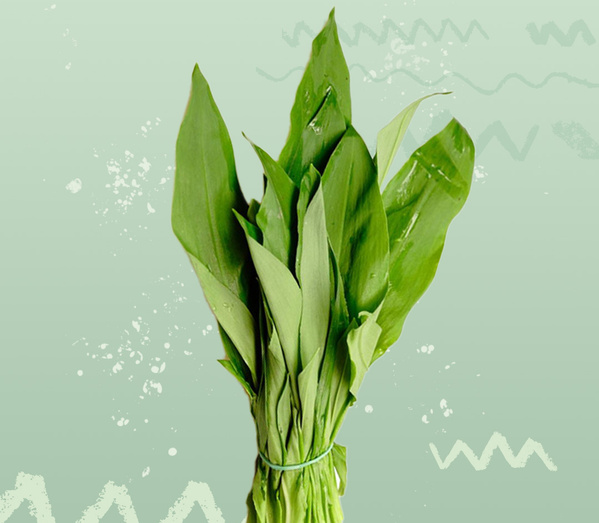 KI generiert: Ein Bund Bärlauchblätter vor grünem Hintergrund.