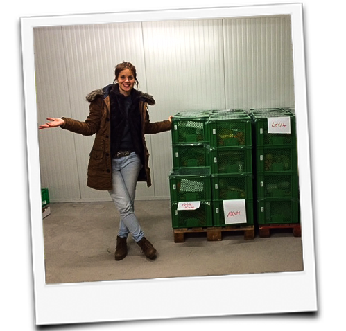 KI generiert: Eine Person steht lächelnd neben gestapelten grünen Kisten mit Etiketten "Lehr" und "Kohlk".