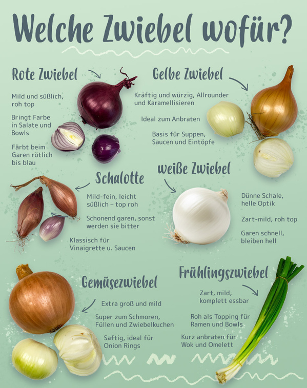 KI generiert: Bild der Zwiebelarten mit Text: "Welche Zwiebel wofür?" und Beschreibung ihrer Eigenschaften.