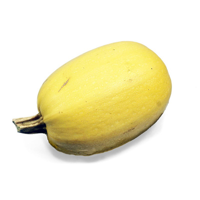 Produktfoto zu Spaghetti-Kürbis, ca. 1,8 - 2,5kg