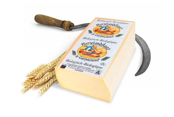 Produktfoto zu Plattelandkaas- 6 Wochen gereift, 50% Fett i. Tr