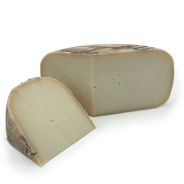 KI generiert: Ein halber Laib Käse und ein angeschnittenes Stück liegen auf weißem Hintergrund.
