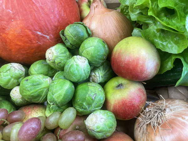 Rosenkohl Kürbis, Zwiebeln, Trauben