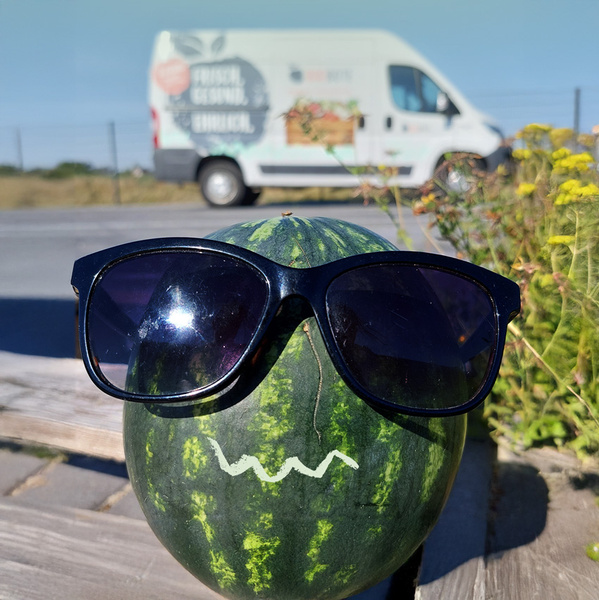 Melone Sonnenbrille  Urlaub