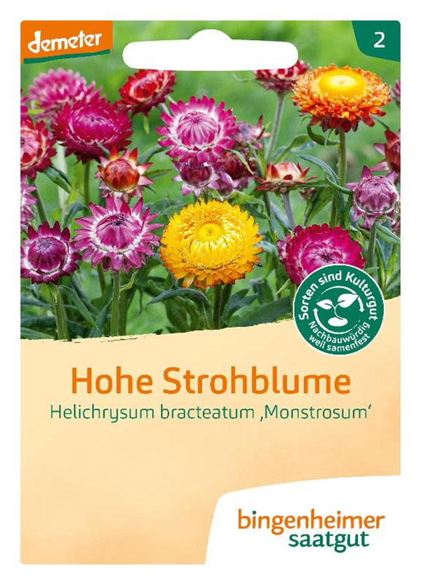 Produktfoto zu Bingenheimer Saatgut - Hohe Strohblume