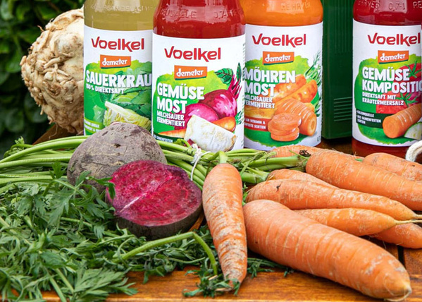 VoelkelFastenkasten Auschnitt quer