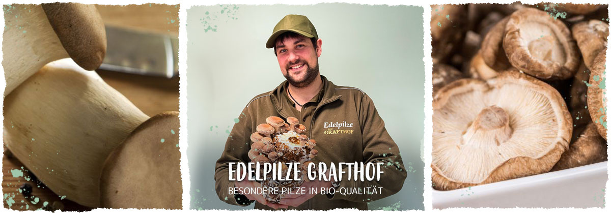 Haeder Weinberg helle Trauben