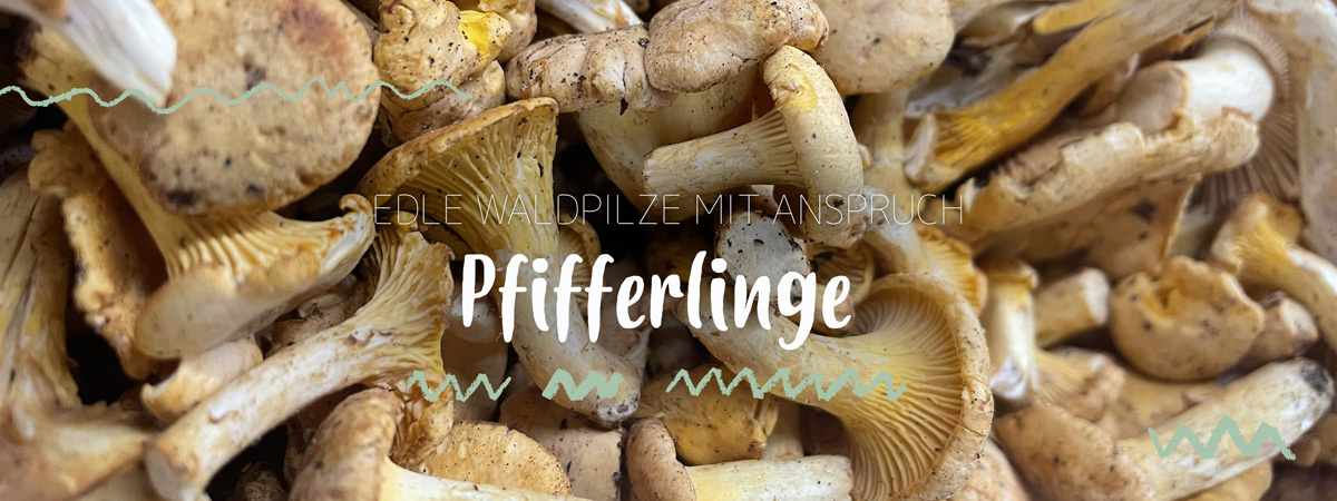 Header Pseudogetreide und Glutenfreie Getreide Alternativen