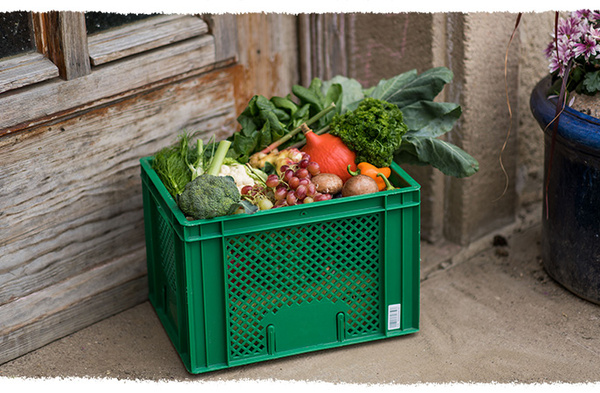 Tafle Bulli vor Biobote