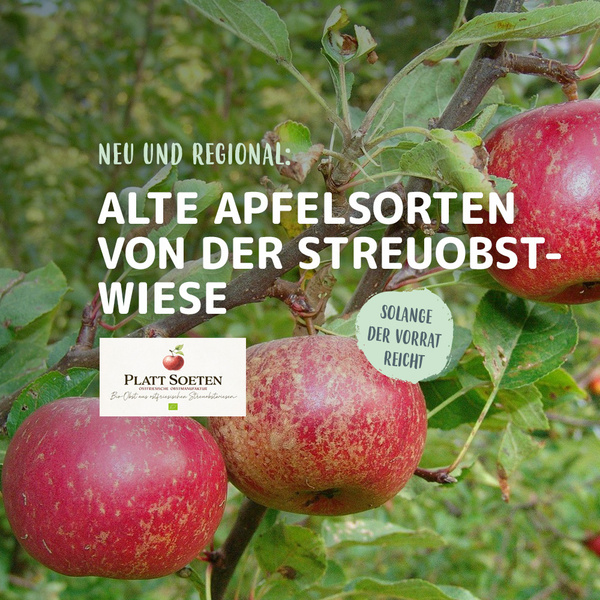 Äpfel an einem Baum mit Text: "Alte Apfelsorten von der Streuobstwiese" und "Solange der Vorrat reicht".