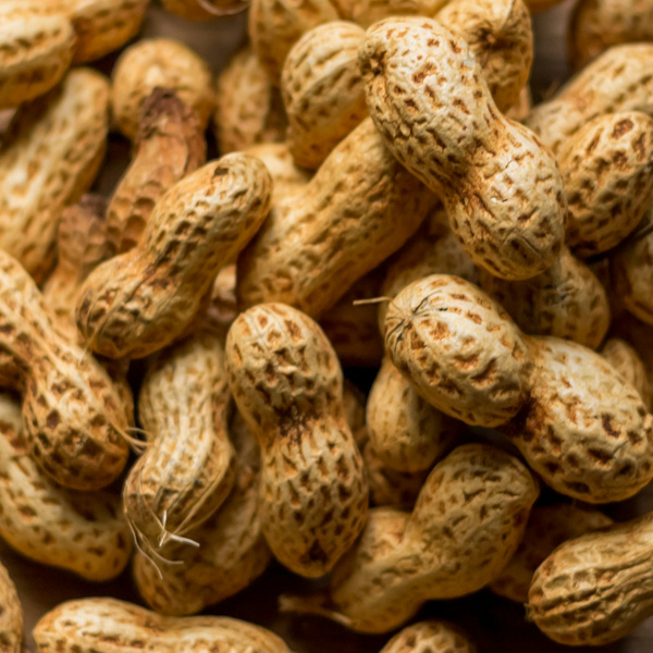 KI generiert: Eine Nahaufnahme von Erdnüssen in ihren Schalen.