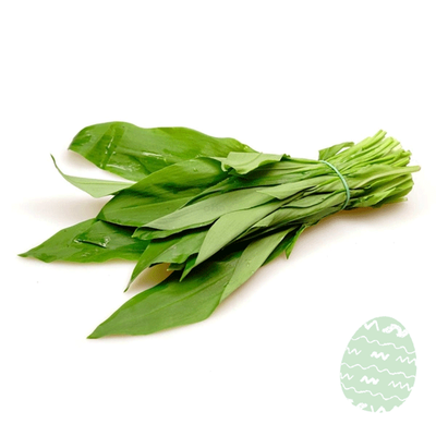 Produktfoto zu Bärlauch im Bund