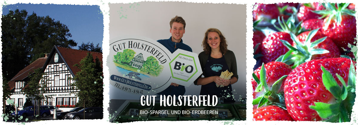 Haeder Weinberg helle Trauben