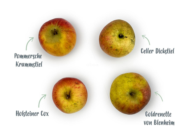 Produktfoto zu Alte Sorten – Tafeläpfel, ca. 1 kg