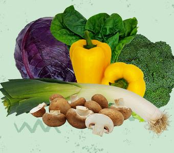 Verschiedene frische Gemüsearten, darunter Paprika, Pilze, Lauch und Brokkoli, auf einem grünen Hintergrund.